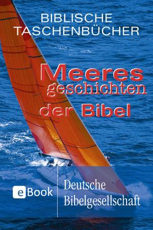 Cover of the book Meeresgeschichten der Bibel by Jan-A. Bühner