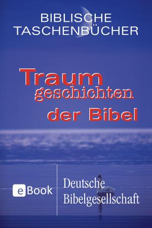 Cover of the book Traumgeschichten der Bibel by 