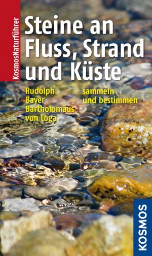 Book cover of Steine an Fluss, Strand und Küste