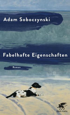 Cover of the book Fabelhafte Eigenschaften by Gert Kaluza