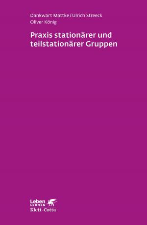 Cover of the book Praxis stationärer und teilstationärer Gruppenarbeit by Edgar Wolfrum