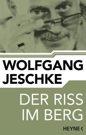 Cover of Der Riss im Berg