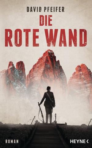 Cover of the book Die Rote Wand by Tom Clancy