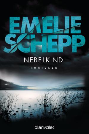 Cover of the book Nebelkind by Rachel Kramer Bussel