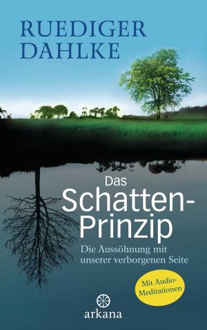 Book cover of Das Schatten-Prinzip