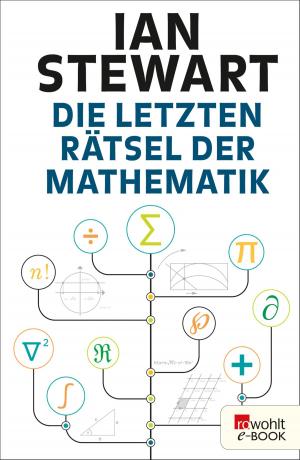 Cover of the book Die letzten Rätsel der Mathematik by William Napier
