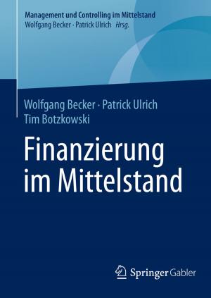 Cover of the book Finanzierung im Mittelstand by Steffen Hillebrecht, Anke-Andrea Peiniger