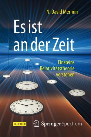 Cover of the book Es ist an der Zeit by Stefanie Federle, Stefanie Hergesell, Sebastian Schubert