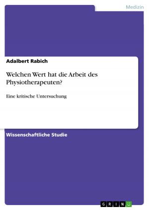 Cover of the book Welchen Wert hat die Arbeit des Physiotherapeuten? by Christian Werth