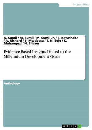 Cover of the book Evidence-Based Insights Linked to the Millennium Development Goals by Ernst Probst
