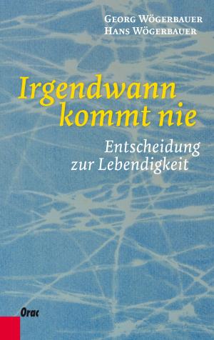 Cover of the book Irgendwann kommt nie by Birgit Maurer, Dieter Krainz