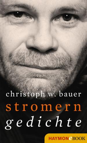 Cover of the book Stromern by Jürg Amann