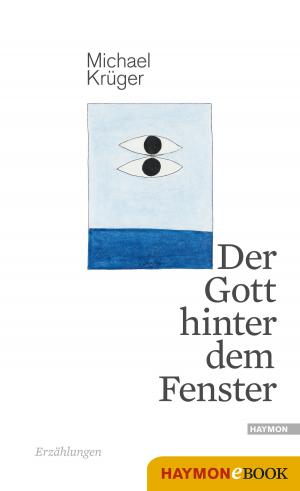 Cover of the book Der Gott hinter dem Fenster by Klaus Merz