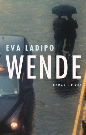 Cover of the book Wende by David Morrell