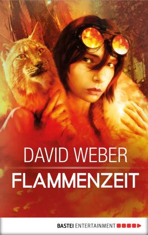 Cover of the book Flammenzeit by Peter Godazgar