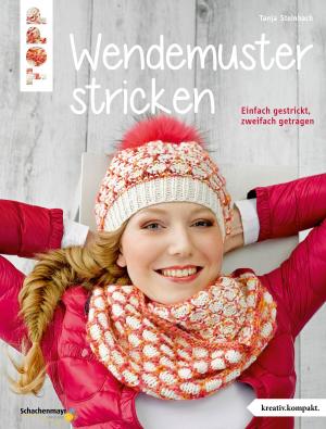 Cover of Wendemuster stricken