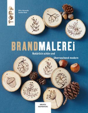 Cover of the book Brandmalerei by Patricia Morgenthaler