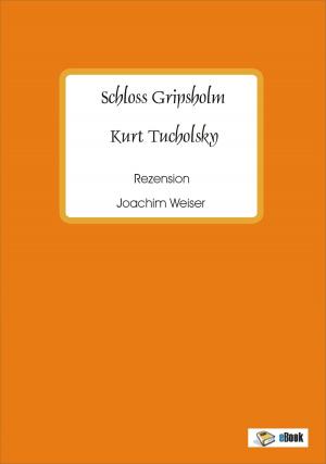 Cover of the book Schloß Gripsholm Rezension by 