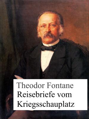Book cover of Reisebriefe vom Kriegsschauplatz