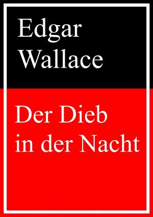 Cover of the book Der Dieb in der Nacht by Kurt Tepperwein