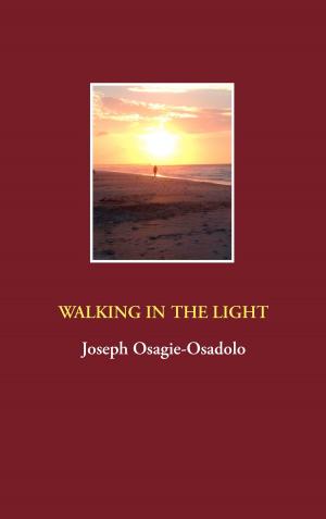 Cover of the book Walking in the Light by Ayleen Scheffler-Hadenfeldt