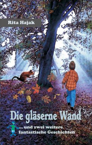 Book cover of Die gläserne Wand