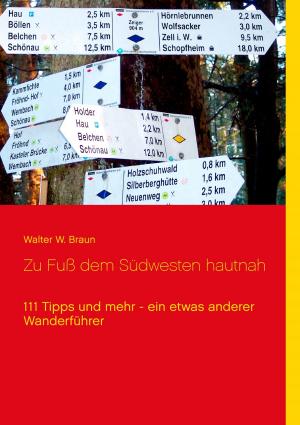 Cover of the book Zu Fuß dem Südwesten hautnah by Anke Beyer