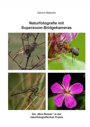 Cover of the book Naturfotografie mit Superzoom-Bridgekameras by Christian Schlieder