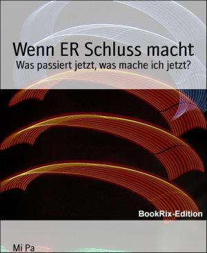 Cover of the book Wenn ER Schluss macht by A. F. Morland