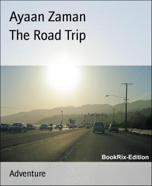 Cover of the book The Road Trip by Ewa Aukett
