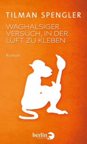 Cover of the book Waghalsiger Versuch, in der Luft zu kleben by Kerstin Decker