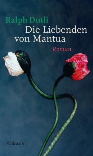 Cover of the book Die Liebenden von Mantua by Patrick Roth