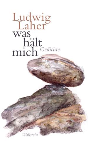 Cover of the book was hält mich by Dirk von Petersdorff
