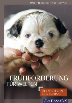 Book cover of Frühförderung für Welpen