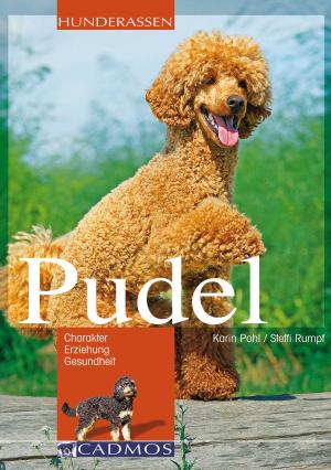 Cover of the book Pudel by Katharina Möller