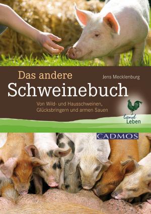 Cover of the book Das andere Schweinebuch by Susanne Vorbrich