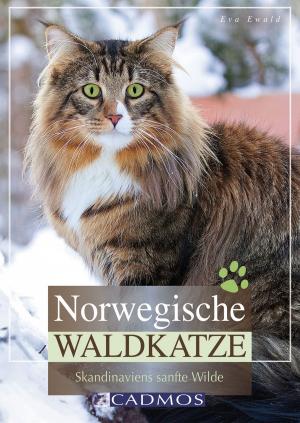 Cover of the book Norwegische Waldkatze by Monika Biermaier, Ilse Wrbka-Fuchsig