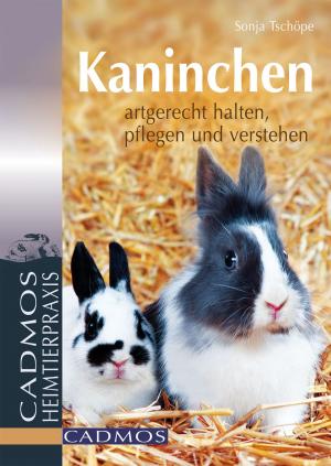 Cover of the book Kaninchen by Christine Schlitt, Silvia Goics