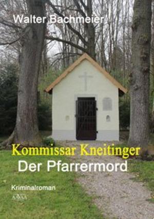 Cover of the book Kommissar Kneitinger by Astrid Pfister