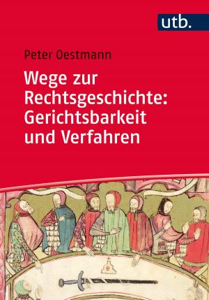 Cover of the book Wege zur Rechtsgeschichte: Gerichtsbarkeit und Verfahren by Thomas Fischer, Thomas Schuhbauer