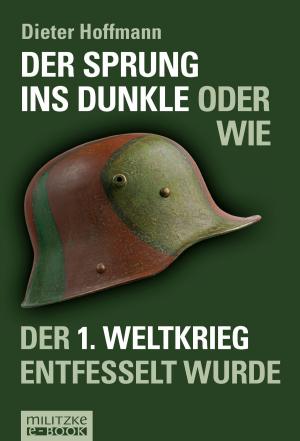 Book cover of Der Sprung ins Dunkle