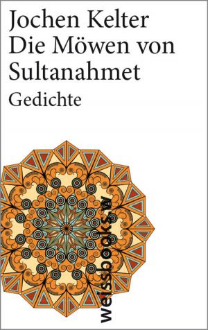 Cover of the book Die Möwen von Sultanahmet by Elisabeth Borchers