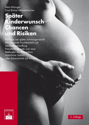 Book cover of Später Kinderwunsch