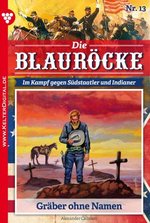 Book cover of Die Blauröcke 13 – Western