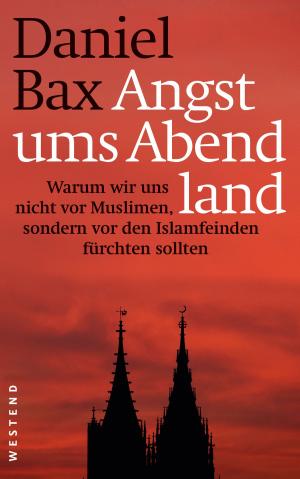 Book cover of Angst ums Abendland