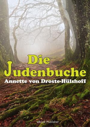 Cover of Die Judenbuche by Annette von Droste-Hülshoff, eBook Publisher