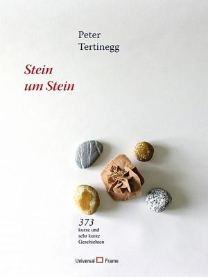 Cover of the book Stein um Stein by Stephen Liddell