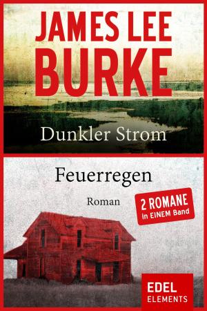 Cover of the book Dunkler Strom / Feuerregen by Helga Hegewisch