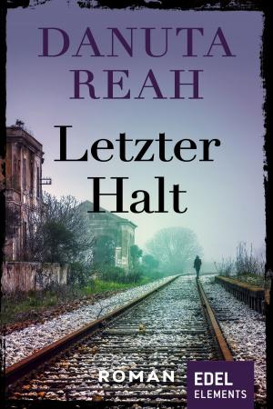 Cover of the book Letzter Halt by Ilona Schmidt