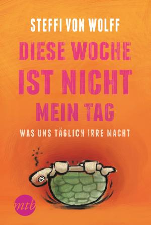 Cover of the book Diese Woche ist nicht mein Tag - Was uns täglich irre macht by Jennifer Crusie